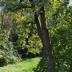 Brinje Private With Accommodatie bij particulieren *