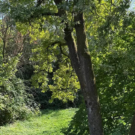 Brinje Private With Ostanak kod kuće *