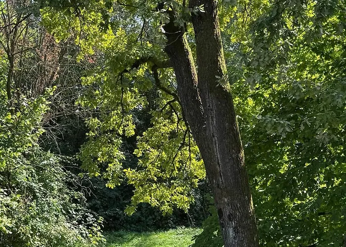 Brinje Private With Alloggio in famiglia *